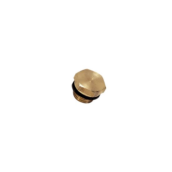 Picture of Brass Accessories for Compression Fittings - 0220 10 00