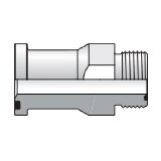 Picture of O-ring Face Seal, 37° Flare and Flareless Code 61 and 62 Flange Adapters - 12 LOHQ1-S