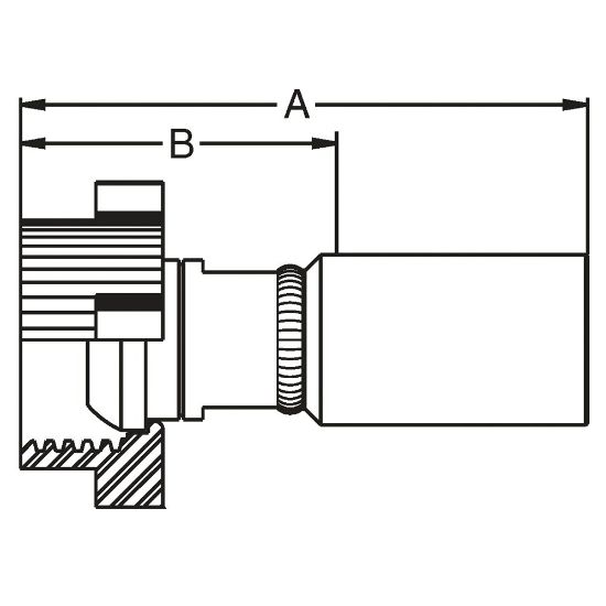 Picture of Crimped Thermoplastic UHP Hose Fittings TX Series - 1HETX-48-48-FLAT