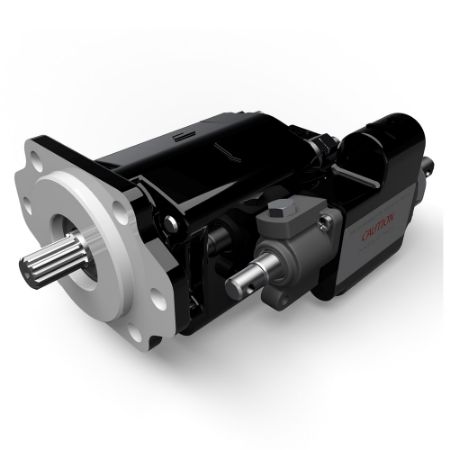 Picture for category Cast Iron Pumps – G101/G102 Series