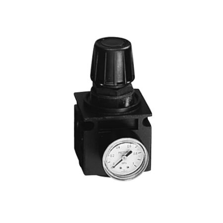 Picture for category QUBE Pressure Regulators Series R45, R65, R105