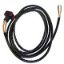 Picture of Prototyping cables - IQAN flying lead cables - 5030029