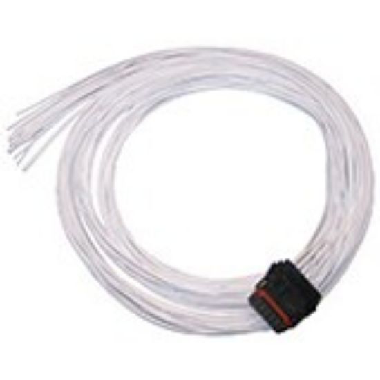 Picture of Prototyping cables - IQAN flying lead cables - 5030219