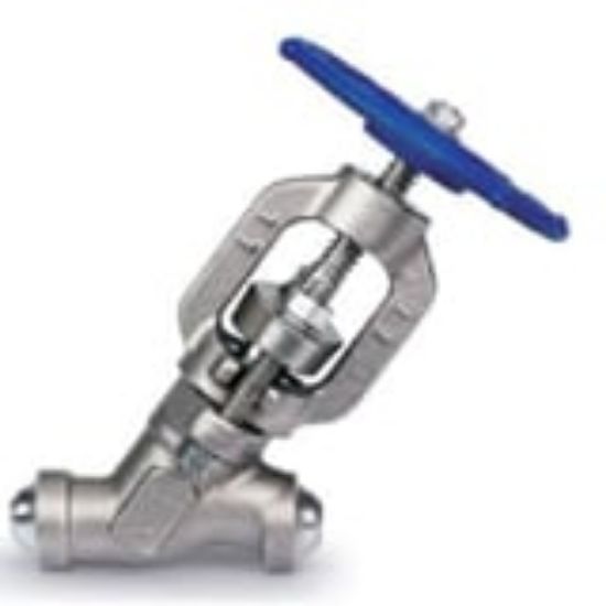 Picture of Typical Globe Process Valve - SW16-YT3/8-G-F91-4500A