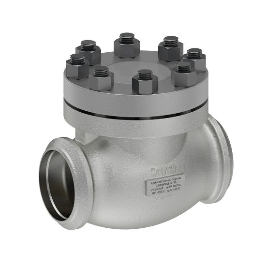 Picture of Cryogenic Check Valves - CGTDN50B1B1B