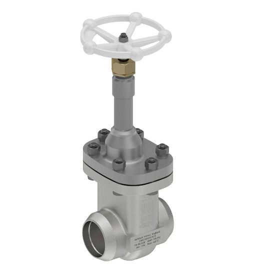 Picture of Cryogenic Gate Valves - CMCDN80B1B1B4