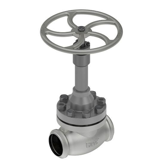 Picture of Cryogenic Globe Valves - CNTDN100B1B1B4