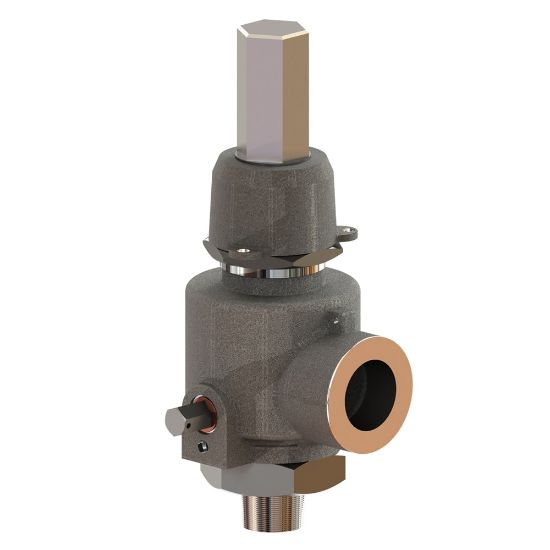 Picture of Cryogenic Safety Relief Valves - CWT20RK38N00