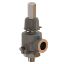 Picture of Cryogenic Safety Relief Valves - CWT20LK38N00