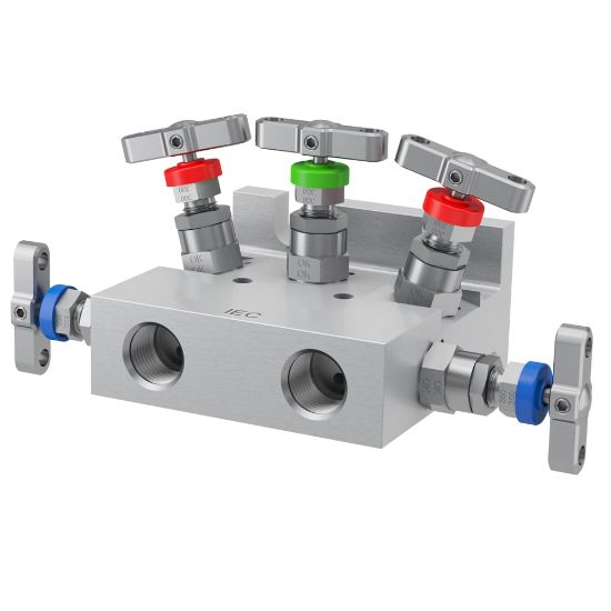 Picture of 2, 3 and 5 Valve instrument manifolds, needle pattern, direct mount - H Series - HETS5SB3