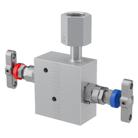 Picture of 2, 3 and 5 Valve instrument manifolds, needle pattern, remote mount - H Series - HLWGS2V