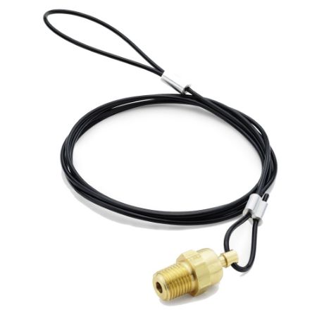 Picture for category Lanyard Valves