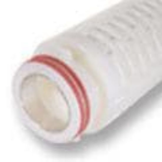 Picture of Trap filter cartridge for particulate removal, PEPLYN TF - PTF-4KN-CAS