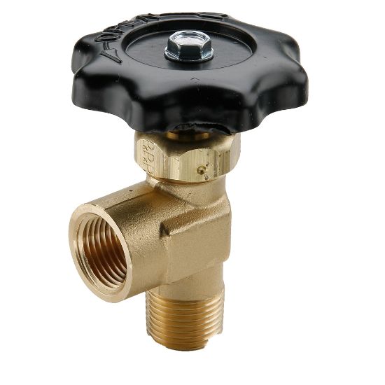 Picture of Truck Valves - V405P-6-6