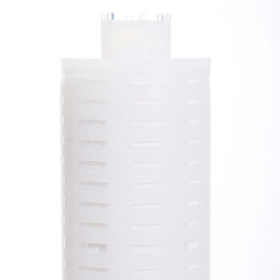 Picture of Chemically Resistant Fluoropolymer Pharmaceutical Filters - TETPOR PLUS - ZCTP2-020CF-PP